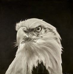 Dominion by Sarah Stokes - Original Drawing on Mounted Paper sized 29x29 inches. Available from Whitewall Galleries