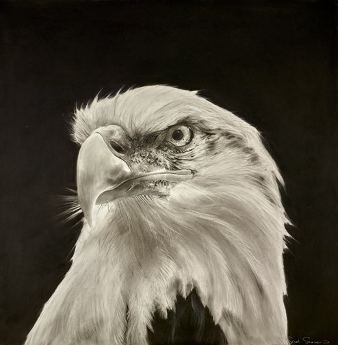 Dominion by Sarah Stokes - Original Drawing on Mounted Paper